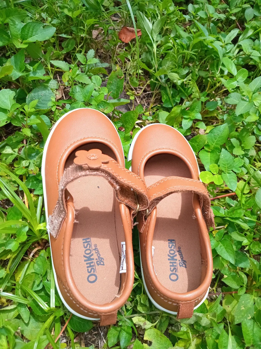 OshKosh B'gosh Girls' Tan Mary Jane Shoes - Comfortable Everyday Style